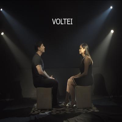 Voltei By Ana Paula Fontes, Léo Jundi's cover