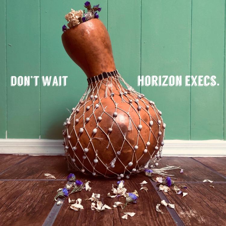 Horizon Executives's avatar image