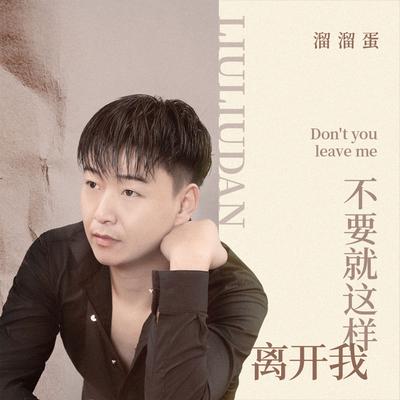 不要就这样离开我's cover