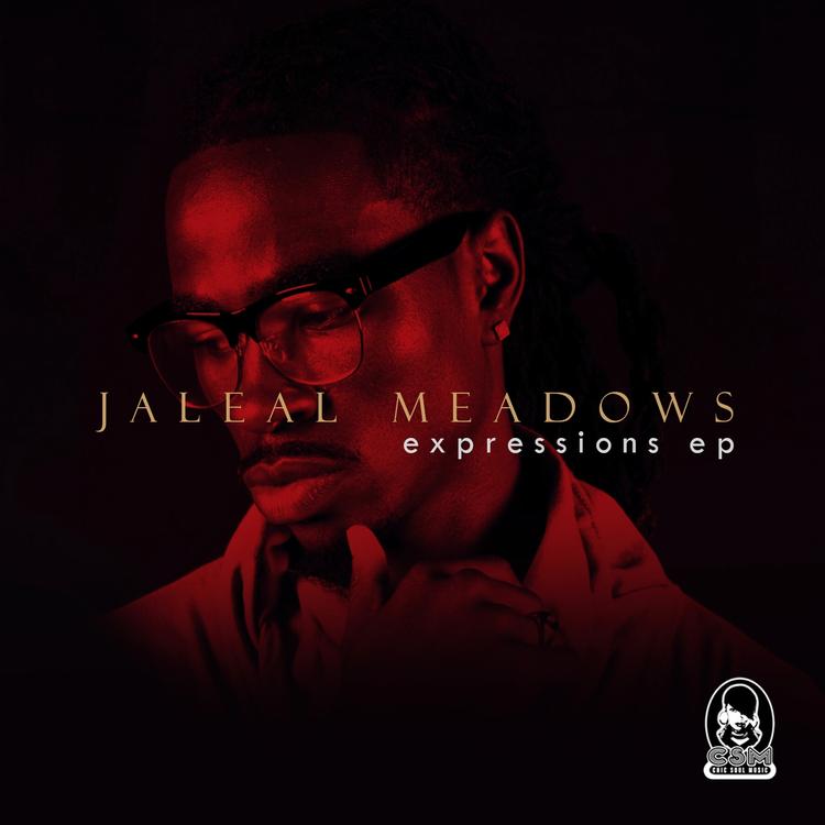 Jaleal Meadows's avatar image