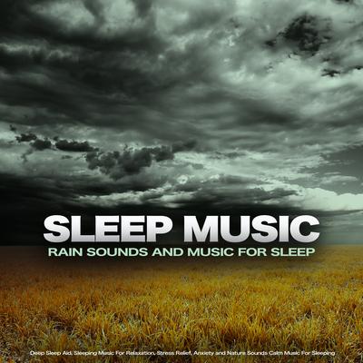 Stress Relief By Sleeping Music, Deep Sleep Music Collective, Spa Music's cover