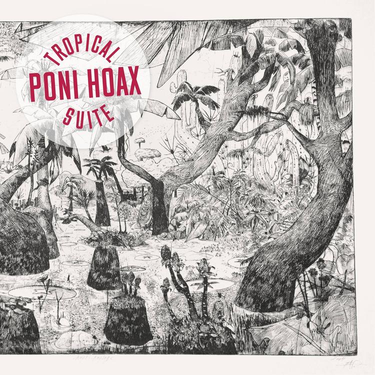 Poni Hoax's avatar image