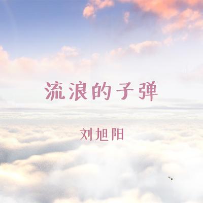 流浪的子弹's cover