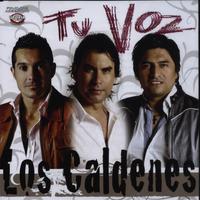 Los Caldenes's avatar cover