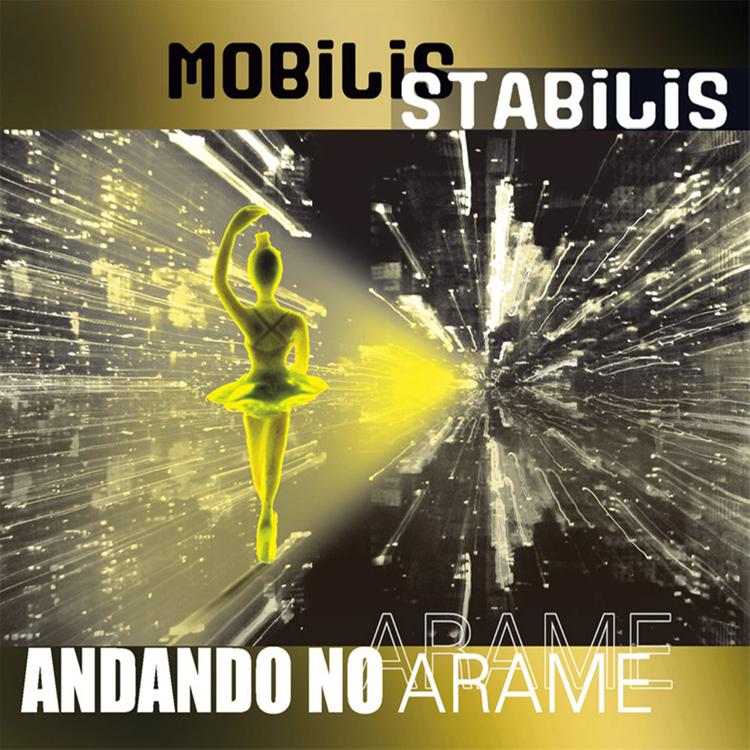 Mobilis Stabilis's avatar image