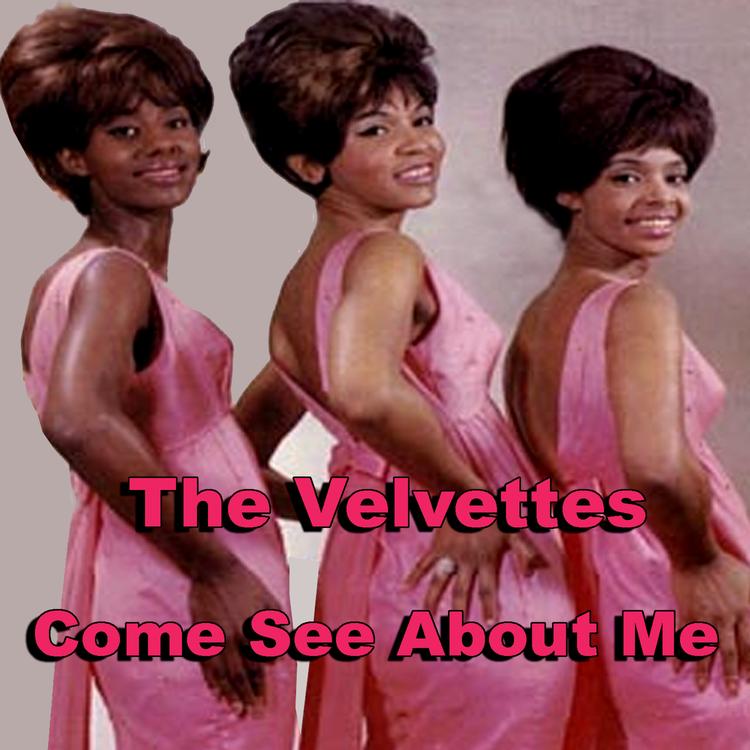 The Velvettes's avatar image