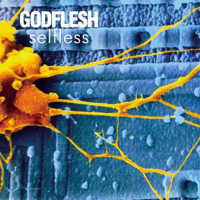 Mantra By Godflesh's cover