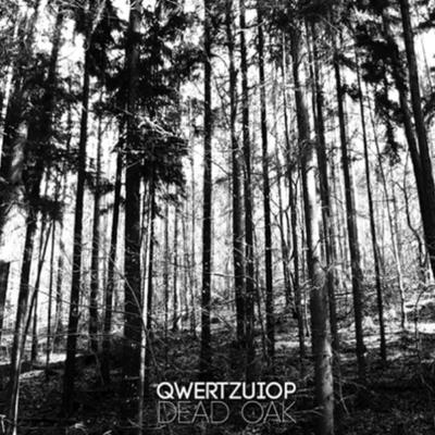 Qwertzuiop's cover