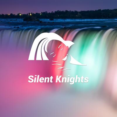 Warm Summer Night By Silent Knights's cover