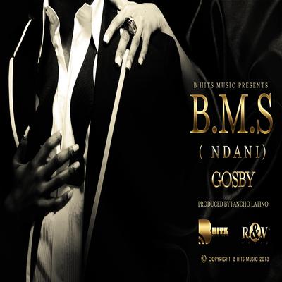 B.M.S.'s cover