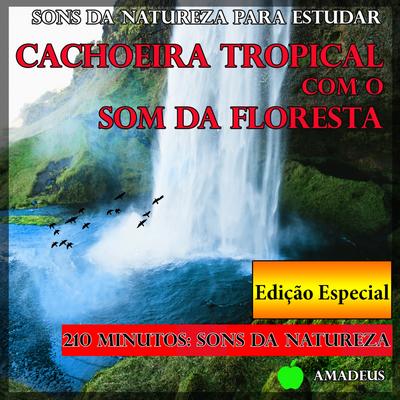 Canto Dos Pássaros Com um Rio Tranquilo: Sons da Natureza (Bonus Track) By Amadeus's cover