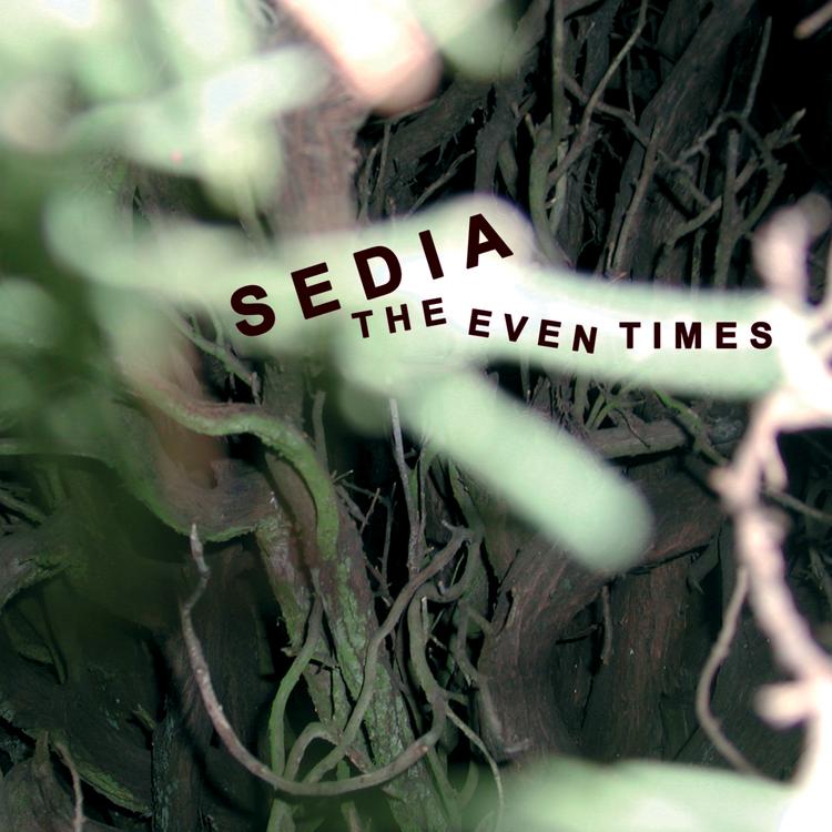 Sedia's avatar image