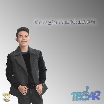 Mengharapkanmu By Tegar Septian's cover