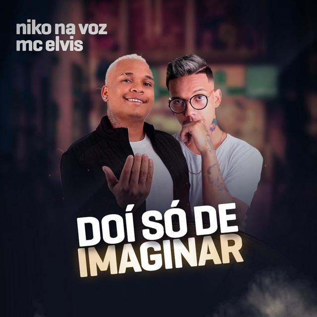 Niko na Voz's avatar image