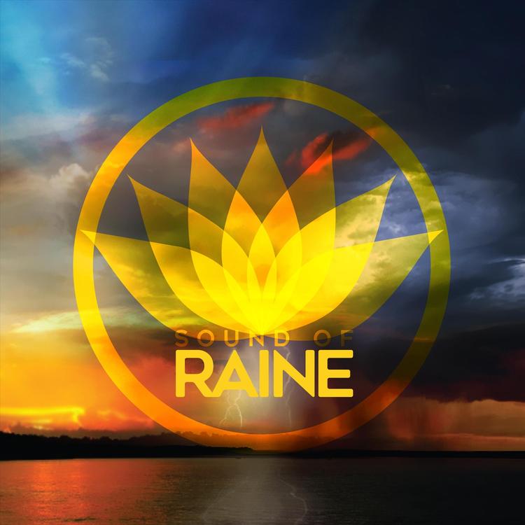 Sound of Raine's avatar image