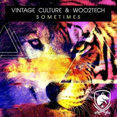 Sometimes By Vintage Culture's cover