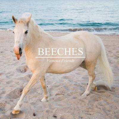 We Don't Know By Beeches's cover