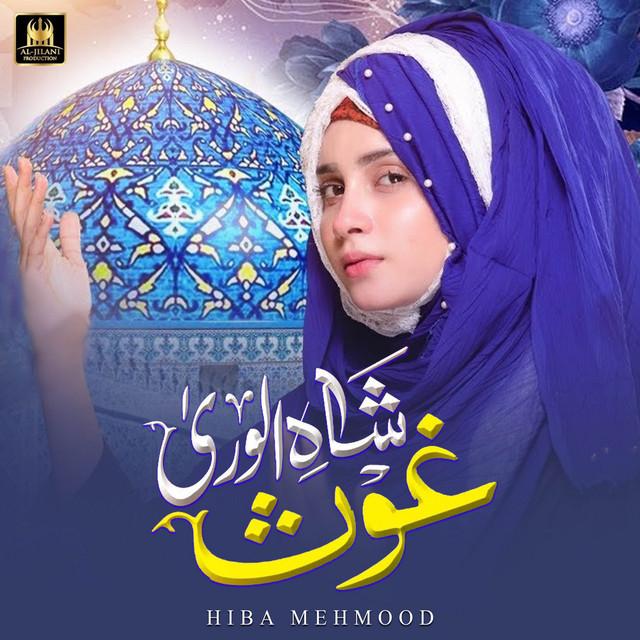 Hiba Mehmood's avatar image