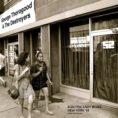 Electric Lady Blues (New York Live '93)'s cover