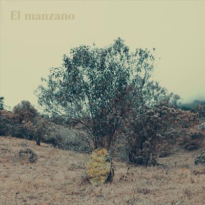 El Manzano By Bardo José's cover