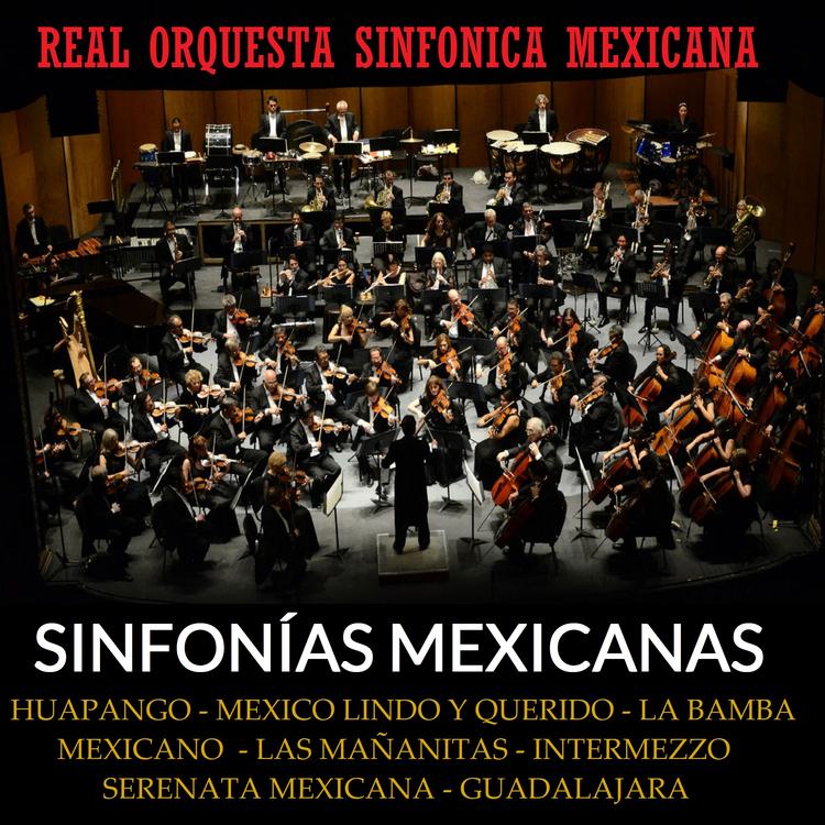 Real Orquesta Sinfónica Mexicana's avatar image