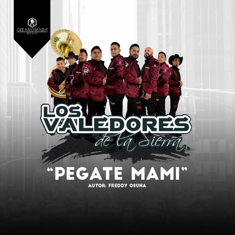 Los Valedores de la Sierra's avatar image