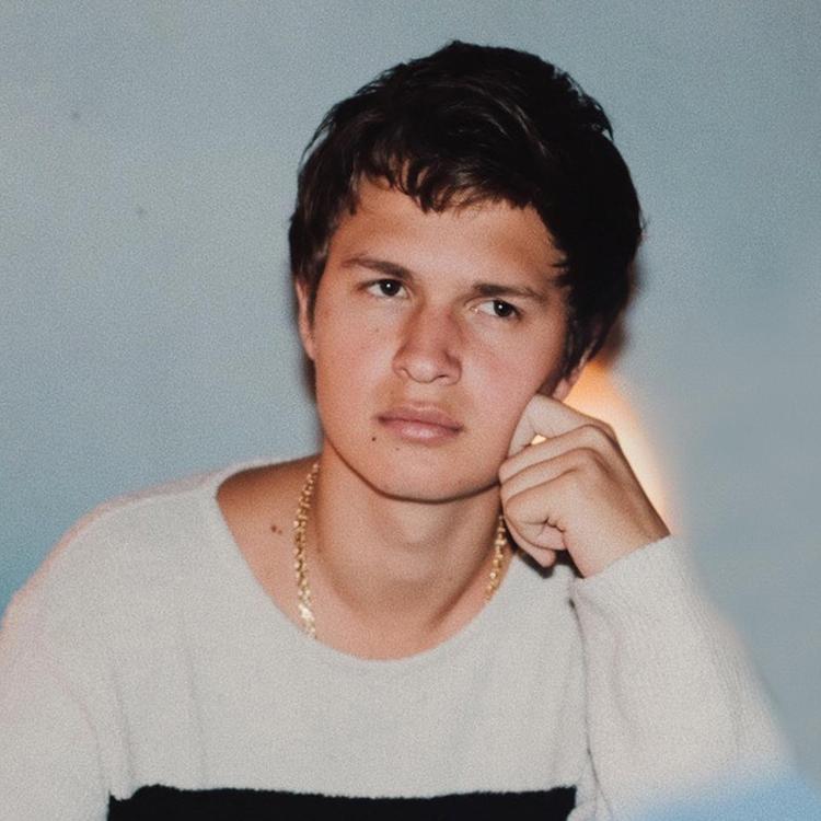 Ansel Elgort's avatar image