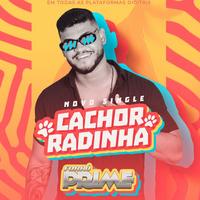 Banda Forró Prime's avatar cover
