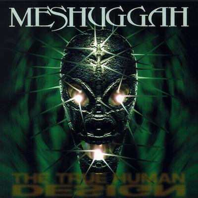 Future Breed Machine (Live) By Meshuggah's cover