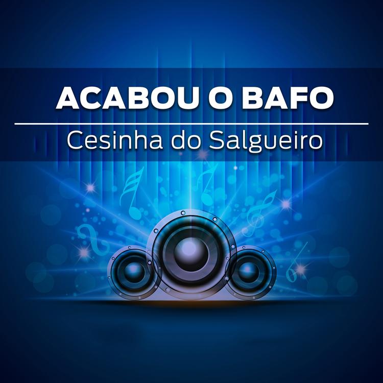 Cesinha do Salgueiro's avatar image