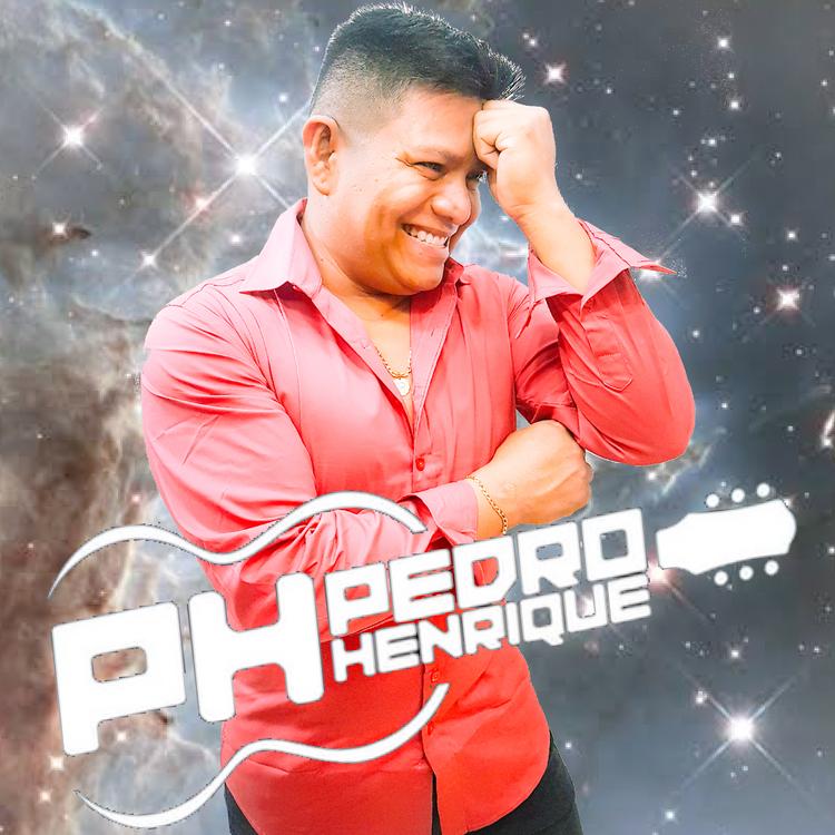 Pedro Henrique é o cantor's avatar image