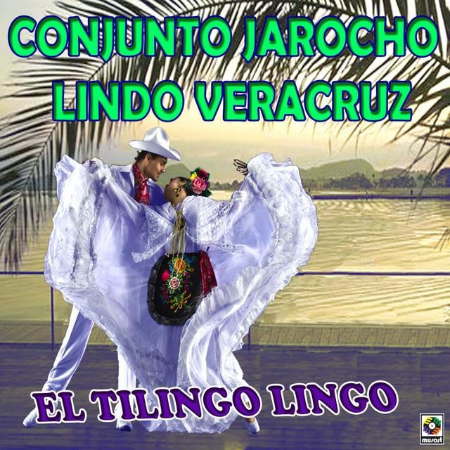 Conjunto Jarocho Lindo Veracruz's avatar image