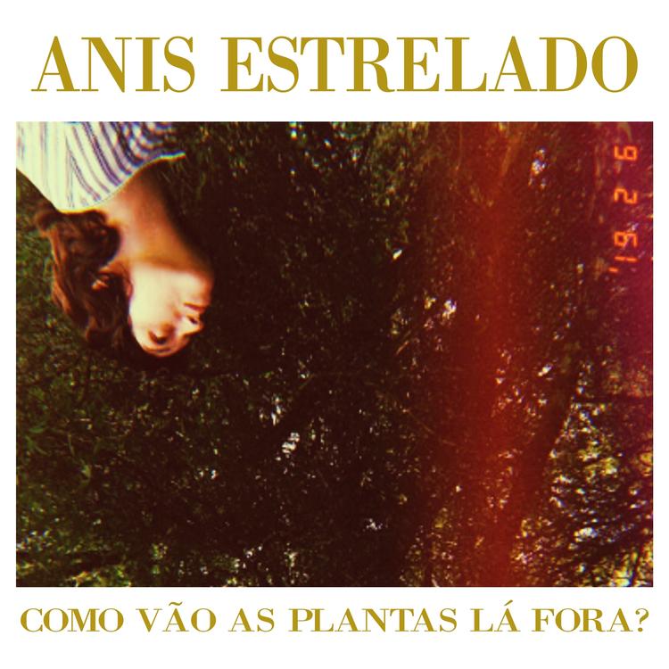 Anis Estrelado's avatar image