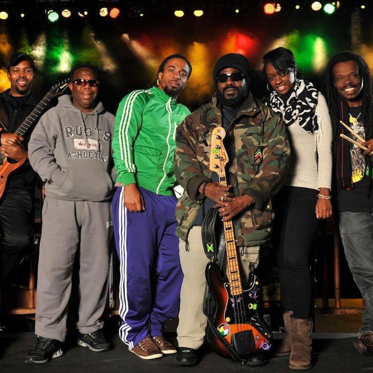 The Wailers Band's avatar image