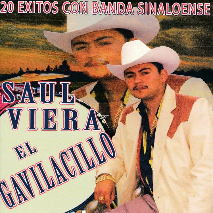 Saul Viera "El Gavilacillo"'s avatar image