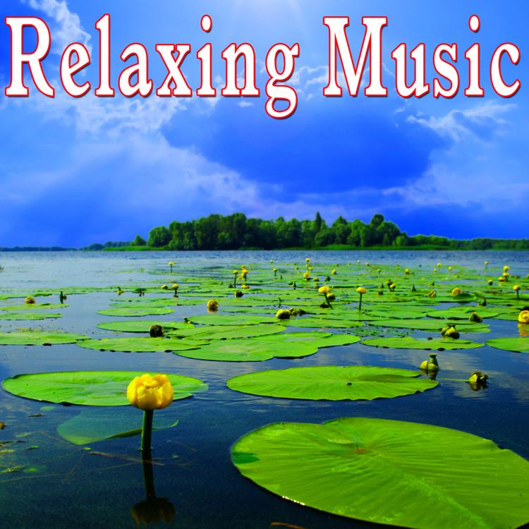 Music for Meditation and Relaxation's avatar image