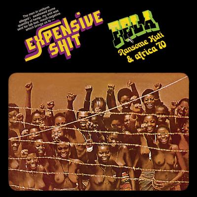 Expensive Shit By Fela Kuti's cover