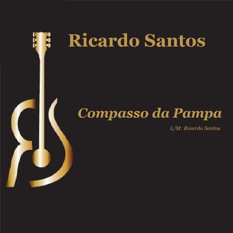 Ricardo Santos RS's avatar image