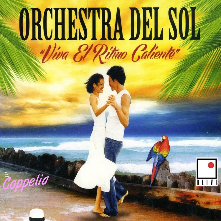 Orchestra Del Sol's avatar image