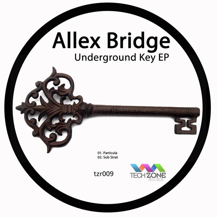 Allex Bridge's avatar image