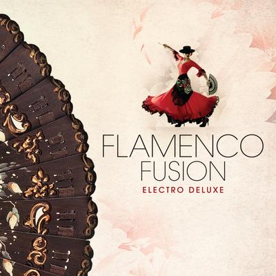 Flamenco Fusion - Electro Deluxe's cover