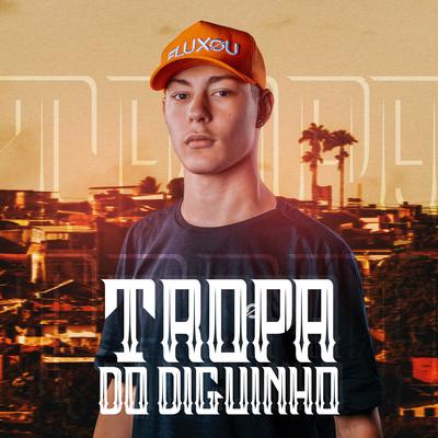 Mega Funk Tropa do Diguinho By Fluxo Produções, DJ DIGUINHO's cover