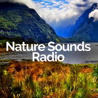 Nature Sounds Radio's avatar cover