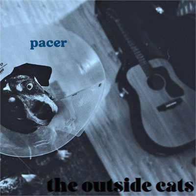 The Outside Cats's cover