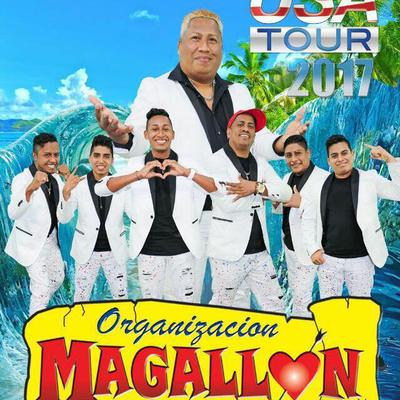 Organización Magallon's cover