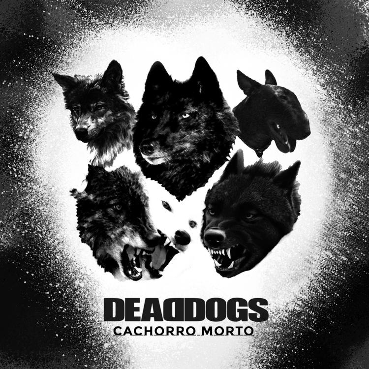 DeadDogs's avatar image