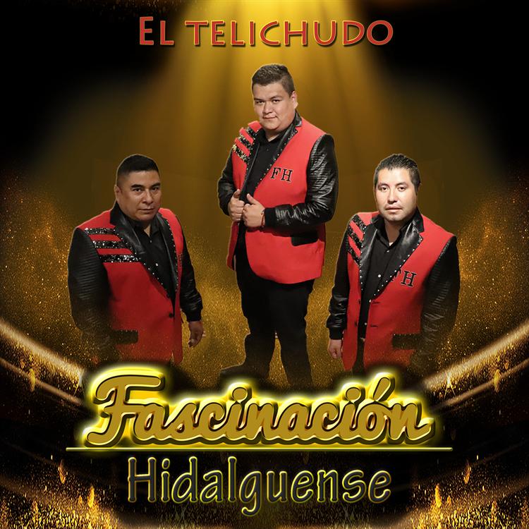 Fascinacion Hidalguense's avatar image