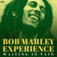 Bob Marley Experience's avatar cover