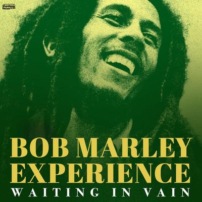 Bob Marley Experience's cover