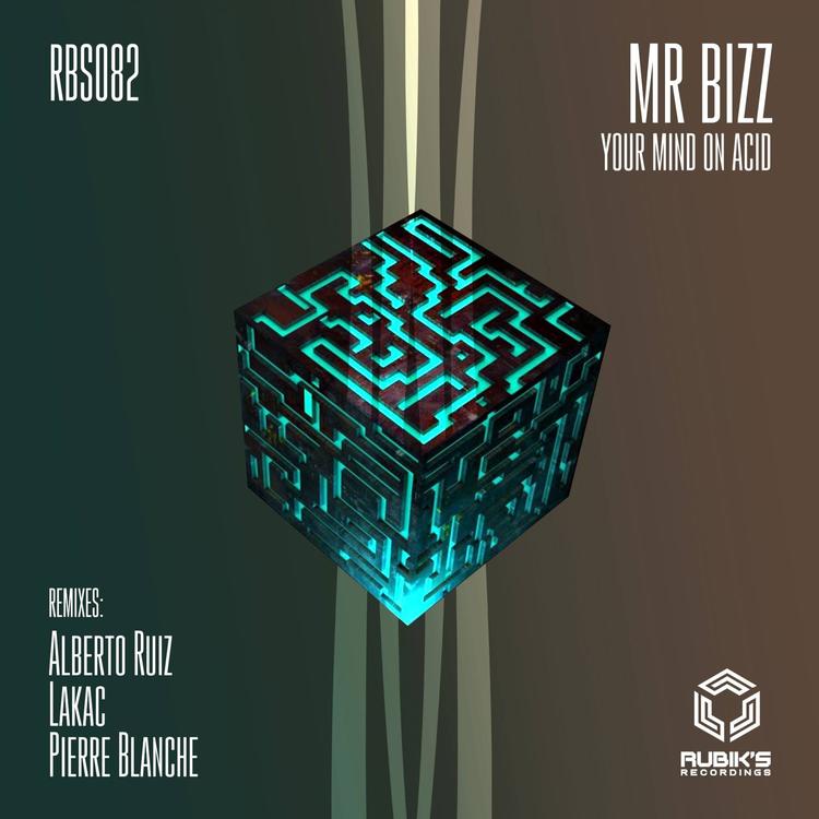 Mr. Bizz's avatar image